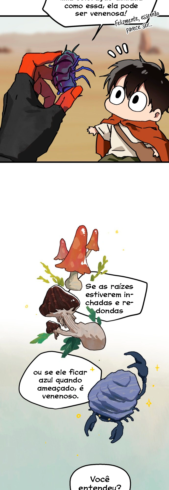 Página 27