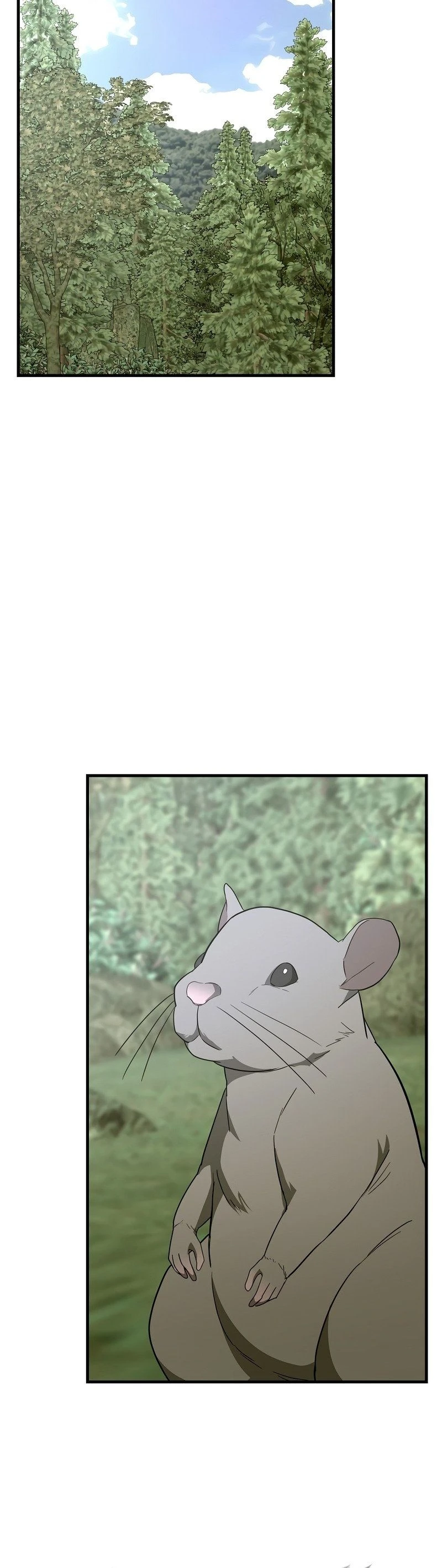 Página 44