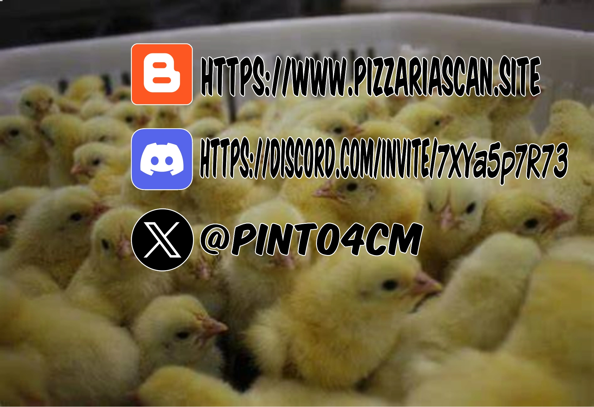 Página 45