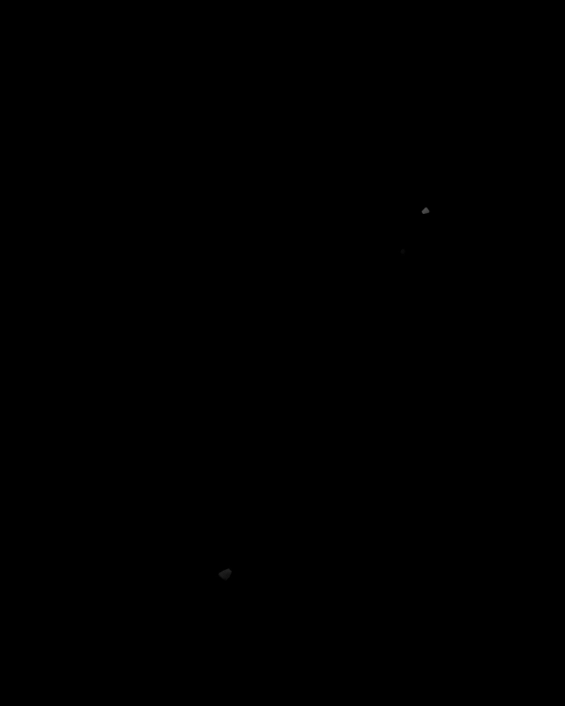Página 55