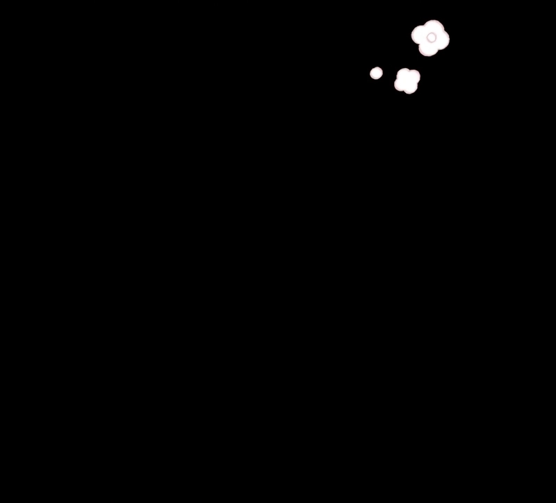 Página 56